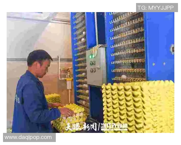 足球球星转行养鸡揭秘背后的商业模式与乡村振兴之路 足球球星转行养鸡揭秘背后的商业模式与乡村振兴之路